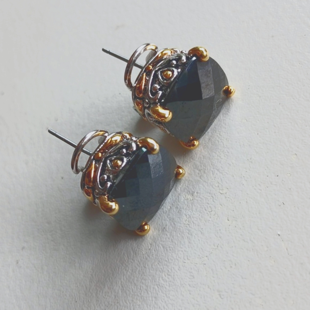Silver/Gold Black Designer Earrings